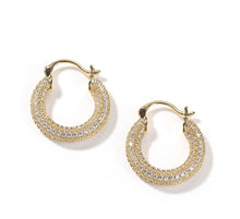 Load image into Gallery viewer, Small bling hoops
